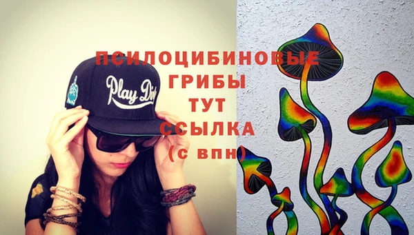 твердый Кулебаки