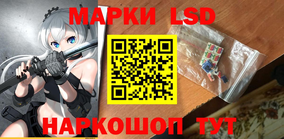 Конопля Лесной
