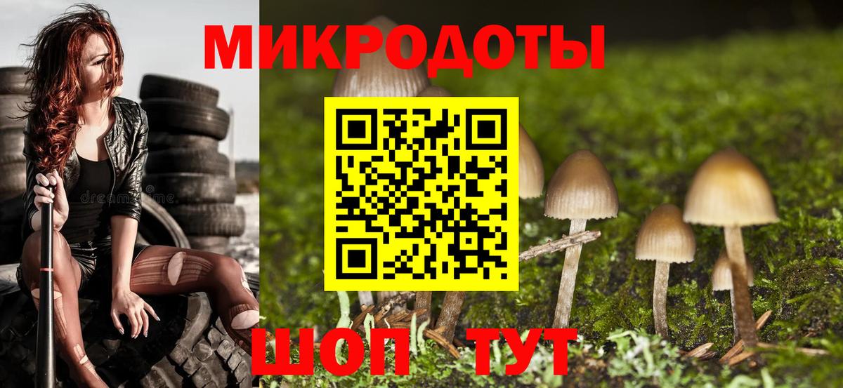 Лесной  Галлюциногенные грибы Psilocybine cubensis  Псилоцибиновые грибы Magic Shrooms  Вход с VPN 