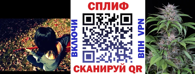 Каннабис OG Kush  Лесной 